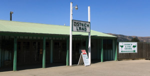Ostrich Land Store